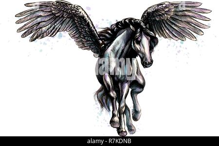 Pegaso mitico cavallo alato da schizzi di acquerelli. Mano bozzetto Illustrazione Vettoriale