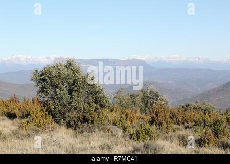 Le montagne dei Pirenei e le gamme coperte di neve come si vede dal Mallos de Riglos pre-picchi dei Pirenei durante una soleggiata giornata invernale in Aragona, Spagna Foto Stock