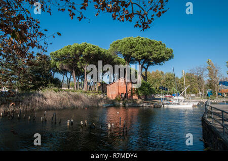 Il lago di Massaciuccoli da Torre del Lago Puccini Foto Stock