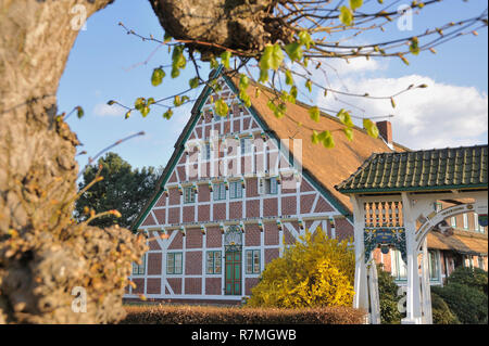 Altes Land Niedersachen,, Deutschland, Germania, Bassa Sassonia Foto Stock