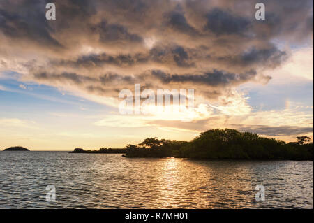 Elizabeth Bay, Isabela Island Isole Galapagos, Ecuador Foto Stock