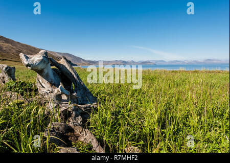 Osso di balena vicolo, Yttygran Isola, Chukotka, Russia Foto Stock