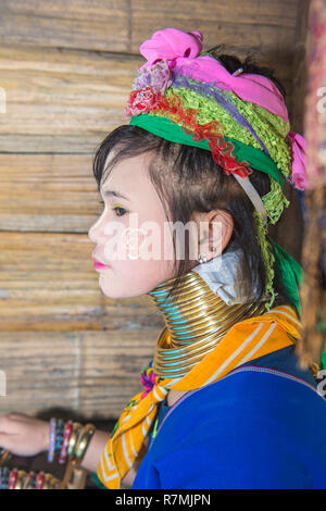 A collo lungo donna, tribù Karen, Chiang Mai, Thailandia Foto Stock