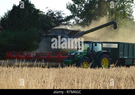 Mietitrebbia e il trattore in harvest Foto Stock