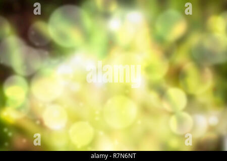 Natura astratta sfondo, immagine di verde giardino sfocata sfondo, De concentrati naturali di foglia verde sfondo sfocato. Bokeh di fondo per effetto di illuminazione. Foto Stock