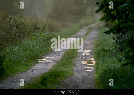 Paesaggio rurale con vuoto sporco di campagna strada bagnata. Strada sterrata che conduce attraverso la foresta di nebbia in Kemeri. Pozzanghere sulla strada del paese in Lettonia. Pozzanghere Foto Stock