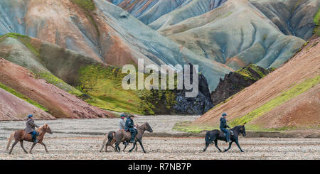 Gli agricoltori a cavallo, pecore raccolta, Landmannalaugar highlands centrali, Islanda Foto Stock