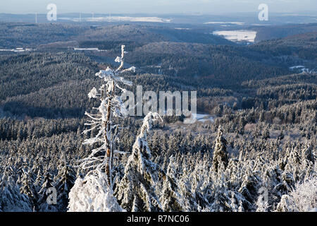 Panoramica areale panoramico vista dalla cima della montagna paesaggi valle d'inverno, vette innevate delle montagne e degli alberi, colline. Concetto alpi svizzere, Krasnaya Polyana, Sochi, Sheregesh, Austria Foto Stock