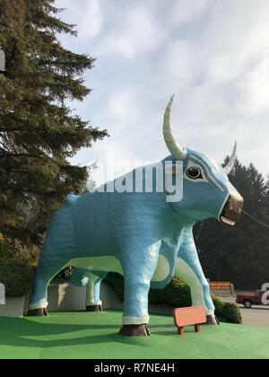 Klamath, CA - Novembre 20, 2018: Paul Bunyan e il suo fedele ox Babe sono integrate in enormi statue fuori dell'entrata per gli alberi del parco di mistero in t Foto Stock