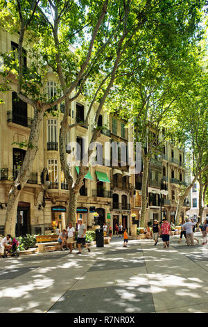 La strada pedonale Passeig des Born, Palma de Mallorca, Spagna. Foto Stock