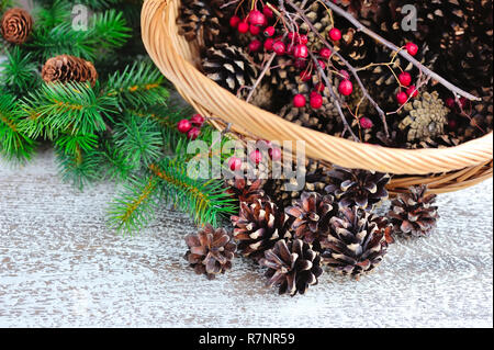Coni e rami albero di Natale. Preparazione per il Natale decorazioni naturali. Foto Stock