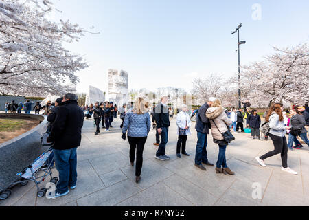 Washington DC, Stati Uniti d'America - Aprile 5, 2018: turisti, molte persone, la folla di Martin Luther King, MLK Memorial monumento, la fioritura dei ciliegi sakura fiori t Foto Stock