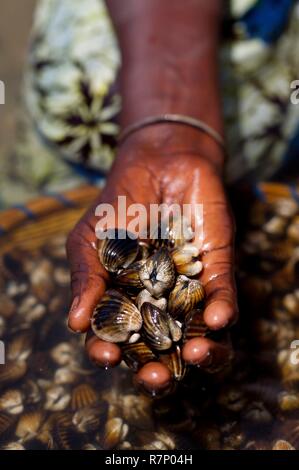 Il Senegal, hull harvest Foto Stock