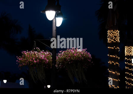 Accese le luci di Natale con appeso cesto fiorito sulla lampada posta sul avenue street in Naples, Florida, Stati Uniti d'America downtown beach city città durante la notte ev Foto Stock