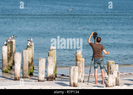 Vecchia Naples, Florida pier palificazioni nel golfo del Messico con colonne di legno e gli uccelli sulla spiaggia dell'oceano, uomo di fotografare con il cavalletto e fotocamera fotografando, Foto Stock