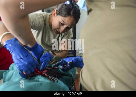 MAYAPO, Colombia (22 marzo 2017) - Esercito Sgt. Katia Rivera, nativo di Puerto Rico, assegnata alla sanità pubblica Activity-Fort Belvoir, Virginia, consente di eseguire una procedura di sterilizzazione durante continuando promessa 2017's (CP-17) Visita al Mayapo, Colombia. CP-17 è un U.S. Comando sud-sponsorizzato e U.S. Forze Navali Comando meridionale/STATI UNITI 4a flotta-condotto di distribuzione condotta civile-militare comprendente le operazioni di assistenza umanitaria, impegni di formazione e medico, dentista e supporto di veterinari in uno sforzo per mostrare il supporto degli Stati Uniti e di impegno per l'America centrale e del Sud. Foto Stock