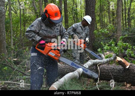 Stati Uniti Air Force Staff Sgt. Diane Martinez e Tech. Sgt. Il Randolph Gaskins chainsaw giù alberi intorno al perimetro del 165Airlift Wing, savana, Ga., 27 Mar, 2017 durante la vigile protezione 2017. Il rilievo di disastro la formazione ha coinciso con le nuove normative in materia di sicurezza per quanto riguarda il perimetro di base della visibilità. Foto Stock