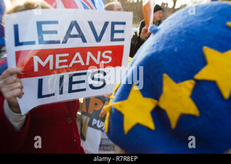 Londra REGNO UNITO 11 dicembre 2018 Anti Brexit manifestanti dimostrare al di fuori della sede del Parlamento. Credito: Thabo Jaiyesimi/Alamy Live News Foto Stock