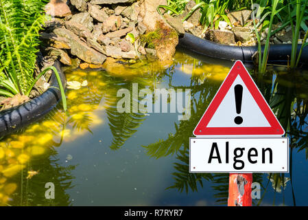 Protezione di alghe del laghetto in giardino Foto Stock