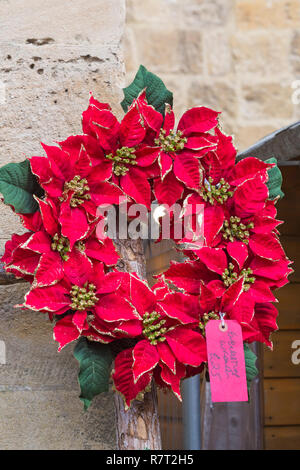 Corona eterna con poinsettia per la vendita sul mercato in stallo a Winchester Mercatino di Natale, Winchester, Hampshire, Regno Unito nel mese di dicembre Foto Stock