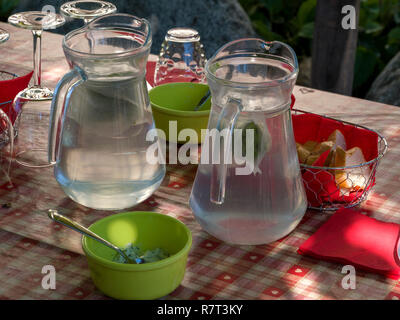 La limonata presso la fattoria del monastero, Lagundo vicino a Merano, Regione Sud Tyrol-Bolzano, Italia, Europa Foto Stock