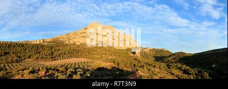 Francia, Bouches du Rhone, Aix-en-Provence, Grand Site Sainte Victoire, Beaurecueil, Sainte Victoire mountain Foto Stock