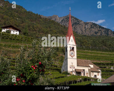 San Ulrico in Oberplars, Lagundo vicino a Merano, Regione Sud Tyrol-Bolzano, Italia, Europa Foto Stock