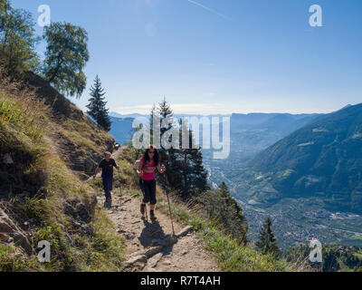 Escursionista, Merano Alta Via, Rifugio Leiter, Lagundo vicino a Merano, Regione Sud Tyrol-Bolzano, Italia, Europa Foto Stock