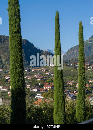 Giardino di Nutzhof, Lagundo vicino a Merano, Regione Sud Tyrol-Bolzano, Italia, Europa Foto Stock