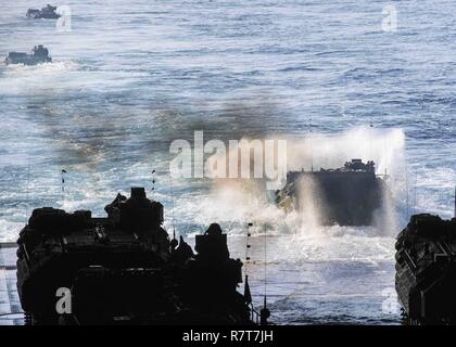 Oceano Pacifico (aprile 5,2017) Amphibious Assault veicoli, attaccato al XV Marine Expeditionary Unit (MEU), uscita ben deck di trasporto anfibio dock nave USS San Diego (LPD 22) durante lo squadrone anfibio (PHIBRON) Marine Expeditionary Unit di integrazione (PMINT) Esercitazione, Apr. 5. PMINT è una formazione di due settimane evoluzione tra America anfibio gruppo pronto e il quindicesimo MEU, quali treni, marinai e marines per diventare un'unità coesa e ulteriore missione disponibilità in preparazione per la loro prossima distribuzione. Foto Stock