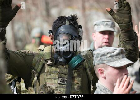 Un membro della Australian Defence Force Academy alza le mani per ispezione della sua maschera protettiva durante il 2017 Sandhurst competenze militari la concorrenza a West Point, N.Y., Aprile 8. Durante Sandhurst, 62 squadre che rappresentano 12 internazionale delle accademie militari, quattro Stati Uniti service accademie e otto programmi ROTC gareggiato in 11 eventi in tutta una 23-Mile corso. Foto Stock