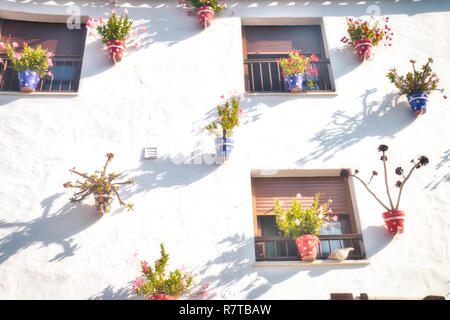 Tipica casa andalusa facciata, pieno di vasi con fiori, a Conil de la Frontera, una bellissima e villaggio turistico nella provincia di Cadice, Sud Foto Stock