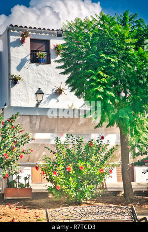 Tipica casa andalusa facciata, pieno di vasi con fiori, a Conil de la Frontera, una bellissima e villaggio turistico nella provincia di Cadice, Andal Foto Stock