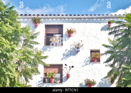 Tipica casa andalusa facciata, pieno di vasi con fiori, a Conil de la Frontera, una bellissima e villaggio turistico nella provincia di Cadice, Andal Foto Stock