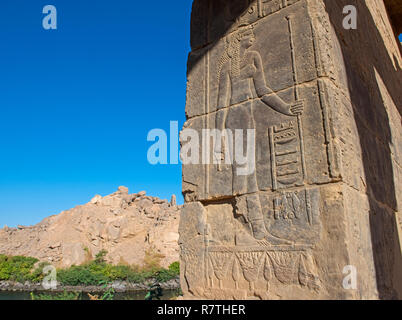 Hieroglypic incisioni sulla parete della finestra in un antico tempio egizio di Iside a Philae Island Aswan Foto Stock