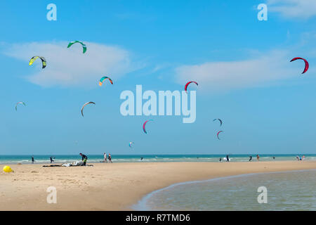 Kite-surf sulla spiaggia Wissant, Côte d'Opale, Wissant, dipartimento del Pas-de-Calais Nord-Pas-de-Calais, Francia Foto Stock