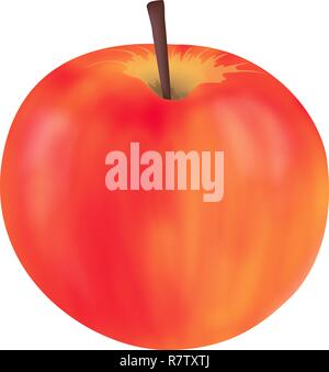 Rosa rosso maturo e succoso Apple su sfondo bianco. Immagine realistica. Illustrazione Vettoriale. Frutto per uno stile di vita sano, cottura, culinaria, healthcare, Illustrazione Vettoriale