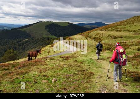 Spagna, Paese Basco e Navarra, pellegrini sul Camino de Santiago (la strada di San Giacomo) al di sopra di Roncisvalle Foto Stock