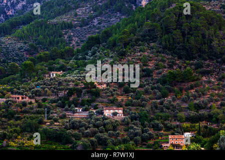 Vista delle colline di Sóller dal Mirador des Puyol d'En Banya, Mallorca, Maiorca, isole Baleari, Baleari, Spagna, Europa Foto Stock