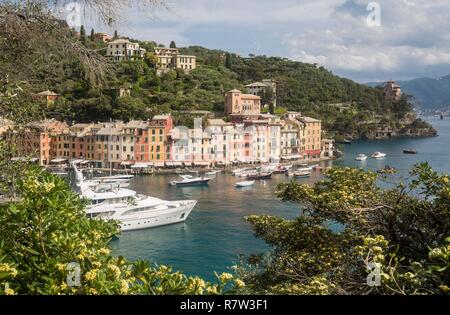 L'Italia, Liguria, parco naturale di Portofino, il villaggio di Portofino Foto Stock