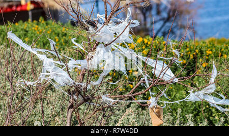 Strappato il sacchetto in plastica in una boccola Foto Stock