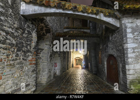 Città vecchia di Tallinn Foto Stock