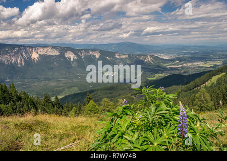 Vista sulla valle e le montagne in Austria meridionale, come si vede dal confine sloveno Foto Stock
