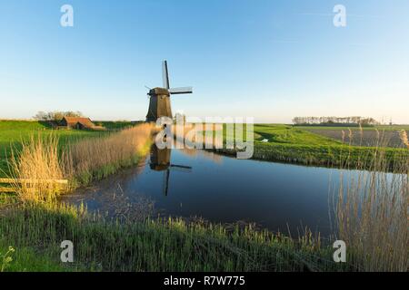 Paesi Bassi Olanda meridionale provincia, regione Leeghwater, Oterleek, mulino a vento sulla Schermer polder Foto Stock