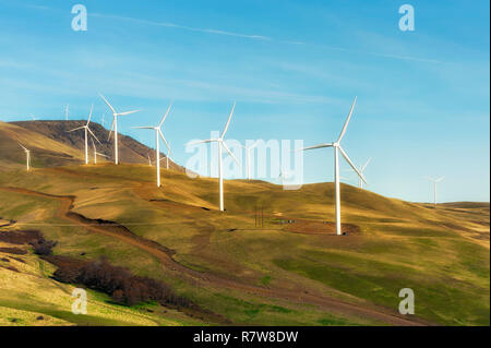 La Columbia River Gorge fattoria eolica turbine stand che domina le colline Foto Stock