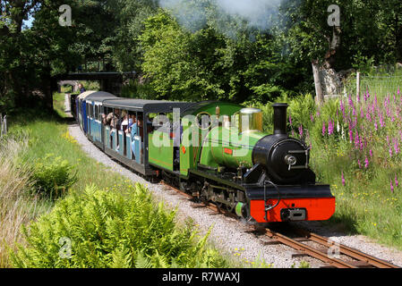 Fiume Irt capi lontano dal verde sull'Ravenglass & Eskdale Railway. Foto Stock