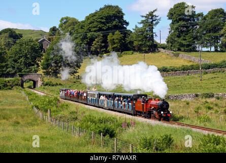 Acaro River heads up Hollingdale Bank nr verde sull'Ravenglass & Eskdake linea. Foto Stock