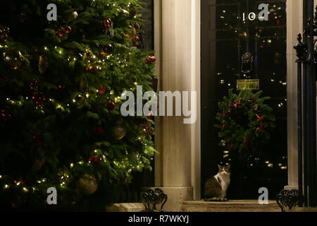 Londra, Gran Bretagna. Undicesimo Dec, 2018. Larry, 10 Downing Street cat, siede al di fuori 10 di Downing Street a Londra, in Gran Bretagna, a Dic. 11, 2018. Il Primo Ministro inglese Theresa Maggio ha lanciato la sua missione martedì per tentare di salvare suo Brexit trattare con un giro di incontri con l Unione Europea (UE) gli Stati leader. Credito: Tim Irlanda/Xinhua/Alamy Live News Foto Stock