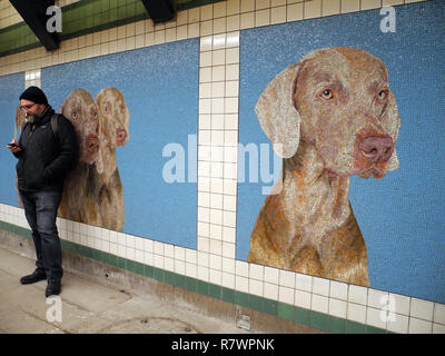 New York, Stati Uniti d'America. Decimo Dec, 2018. Un mosaico a 23rd Street Stazione della metropolitana mostra un'opera dell'artista William Wegman, che regolarmente fotografie i suoi cani Weimaraner e parzialmente travestimenti di loro. (A dpa messaggio: 'In attesa: cani Weimaraner decorano la stazione della metropolitana di New York' dal 12.12.2018) Credito: Johannes Schmitt-Tegge/dpa/Alamy Live News Foto Stock