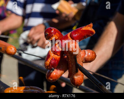 Grillen beim Traubenfest, Vrsac, Vojvojina, Serbien, Europa Foto Stock